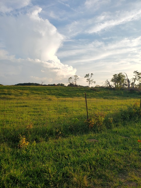 southernvixen1992 onlyfans leaked picture 2