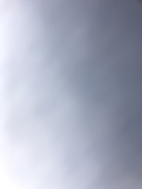 spankmerosey onlyfans leaked picture 2