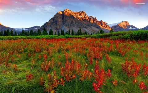 sparkyp23 onlyfans leaked picture 2