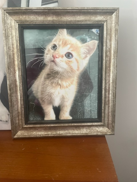 spicelord92 onlyfans leaked picture 2