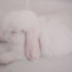 starry onlyfans leaked picture 1