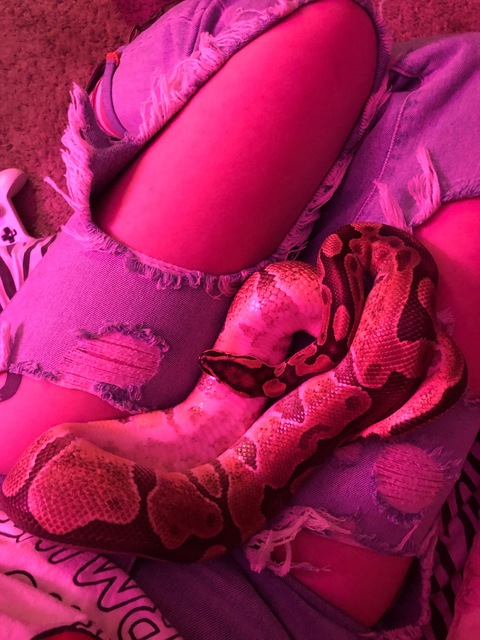 strawberrypython onlyfans leaked picture 2