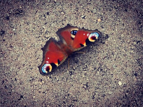 stydlivka666 onlyfans leaked picture 2