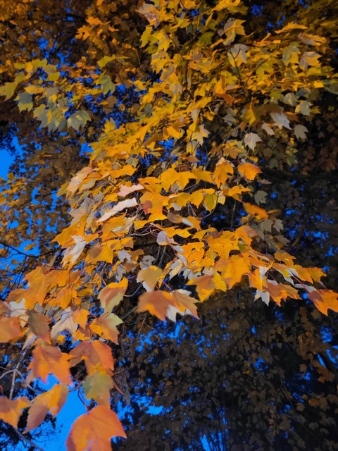 sunshinebabyy69 onlyfans leaked picture 2