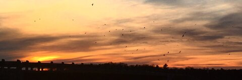 tamsin_riley onlyfans leaked picture 2