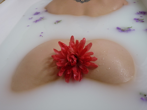 theabbyvega onlyfans leaked picture 2