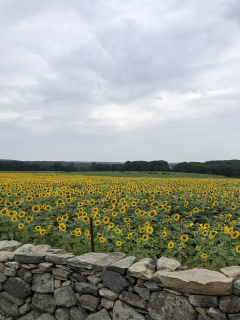 thefishingchick onlyfans leaked picture 2