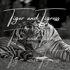 tigerandtigress onlyfans leaked picture 1