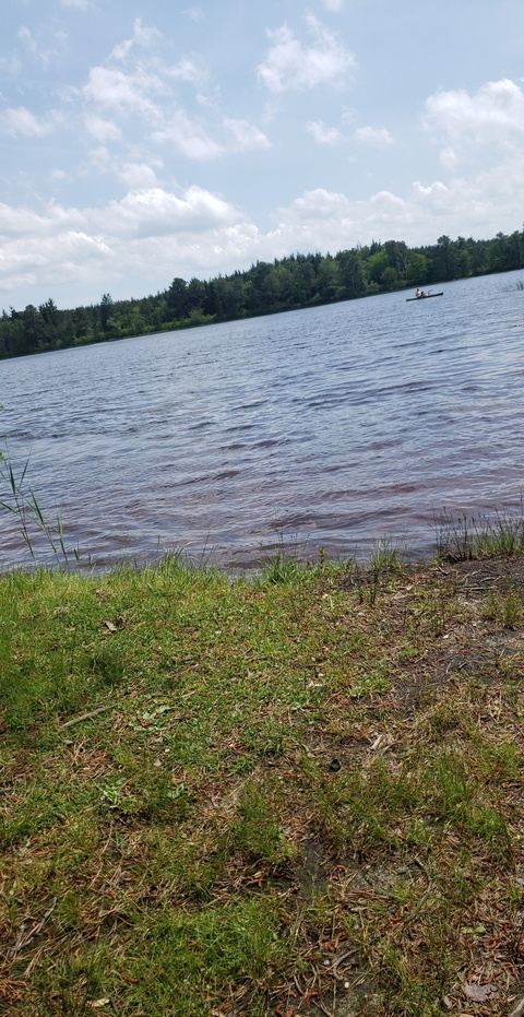 tits4tatts onlyfans leaked picture 2