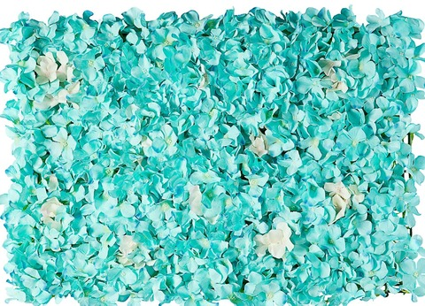 titsandco onlyfans leaked picture 2