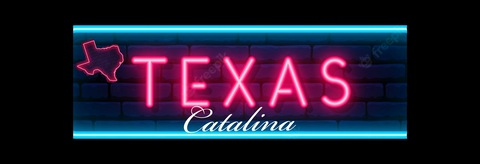 txcatalina onlyfans leaked picture 2
