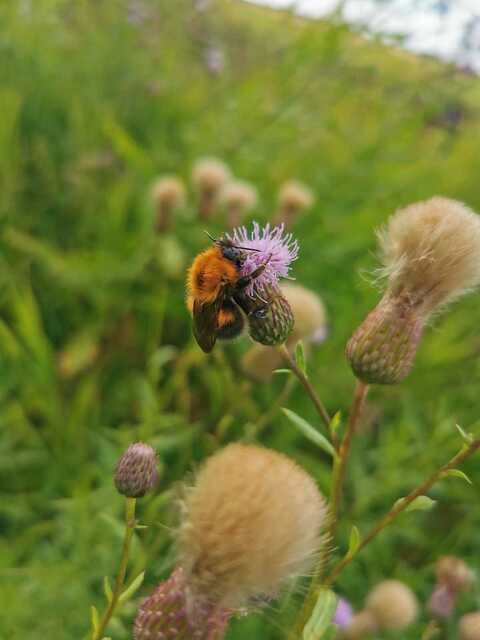 u138413760 onlyfans leaked picture 2