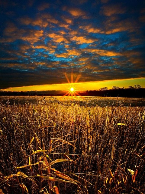 u72650644 onlyfans leaked picture 2