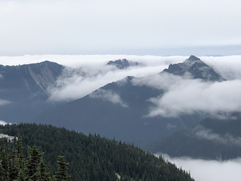 werewolfinhiding onlyfans leaked picture 2