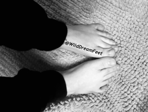 wilddreamfeet onlyfans leaked picture 2