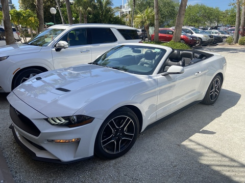 willywonka82 onlyfans leaked picture 2