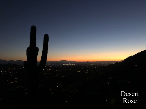 xdesertrosex onlyfans leaked picture 2