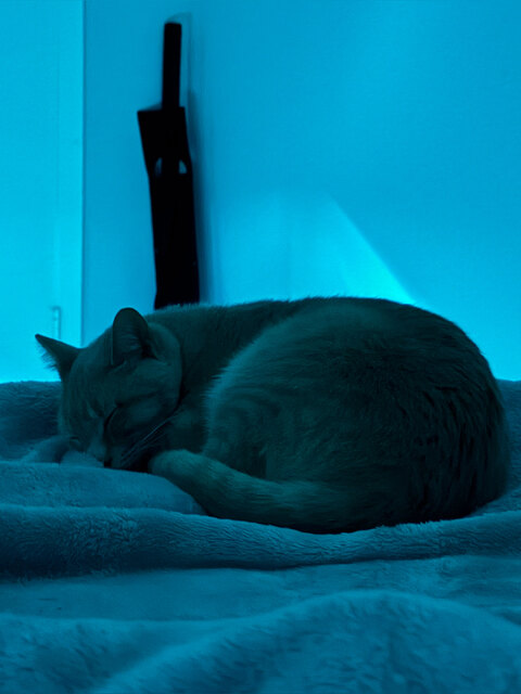 xsusurrusx onlyfans leaked picture 2