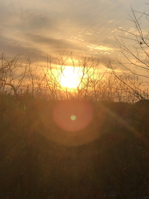 xxxsilverfoxxx onlyfans leaked picture 2