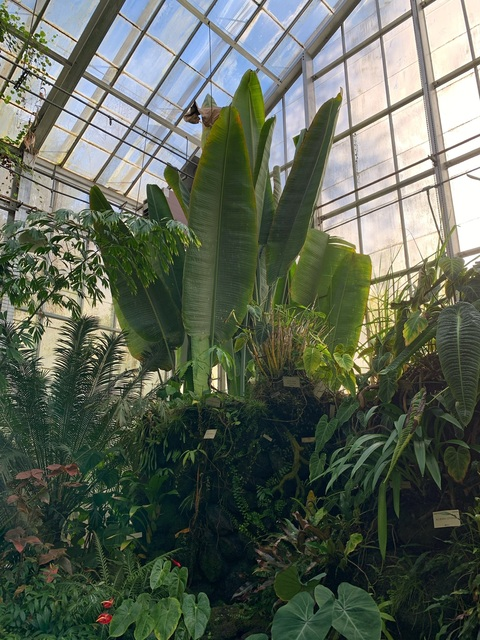 yennixluna onlyfans leaked picture 2